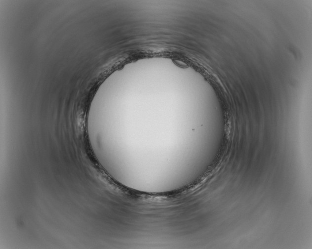 X0000112020476200908031045