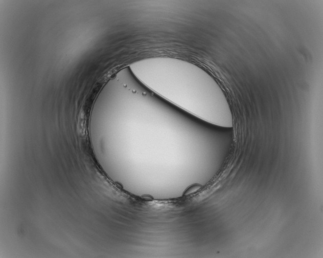 X0000112020477200908031045