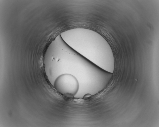 X0000112020478200908031045