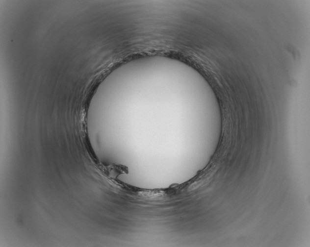 X0000112020480200908031045
