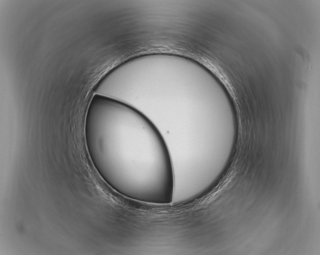 X0000112020481200908031045