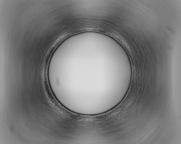 X0000112020482200908031045