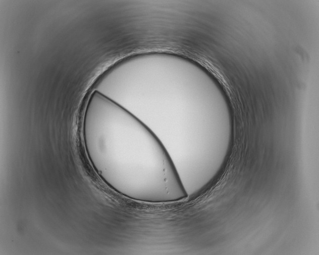 X0000112020483200908031045