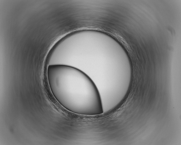 X0000112020484200908031045