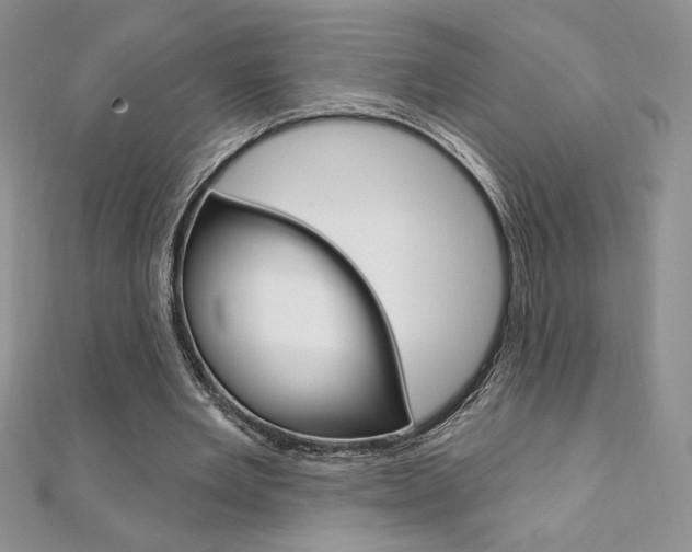 X0000112020485200908031045