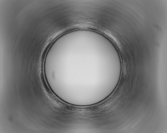 X0000112020486200908031045