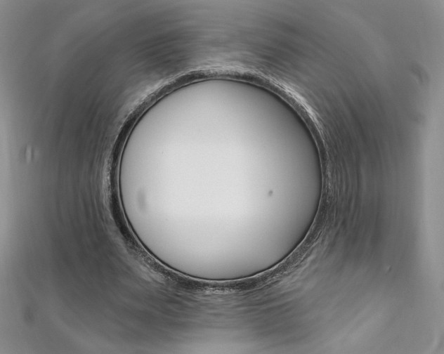 X0000112020487200908031045