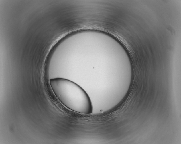 X0000112020488200908031045