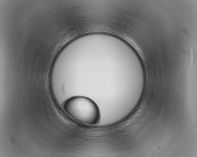 X0000112020489200908031045
