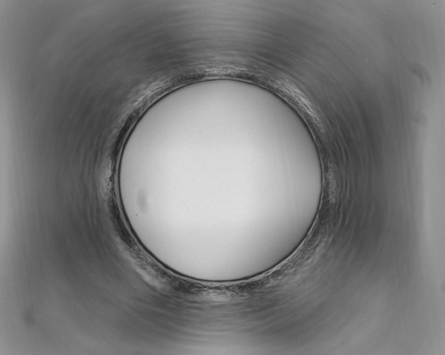 X0000112020490200908031044