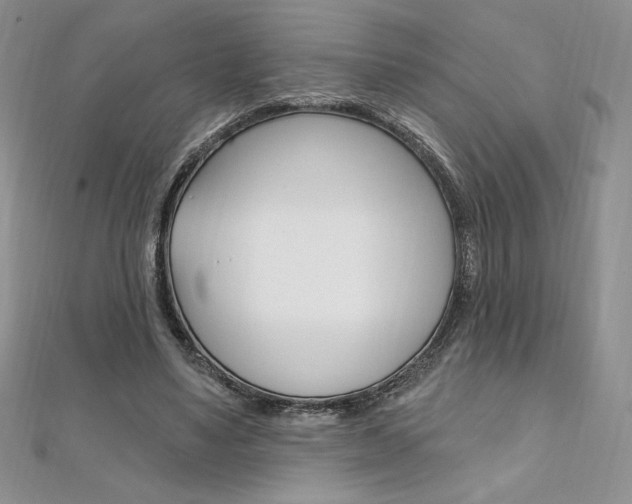 X0000112020491200908031044