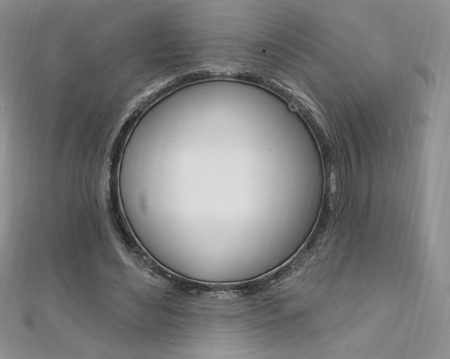 X0000112020492200908031044