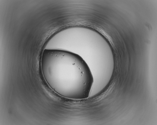 X0000112020493200908031044