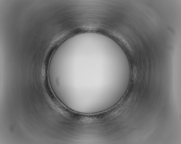 X0000112020494200908031044