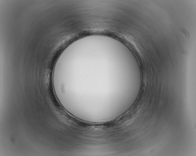 X0000112020495200908031044
