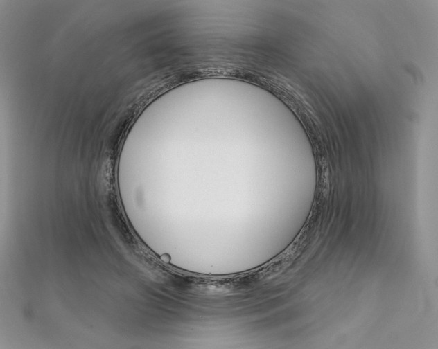 X0000112020498200908031044