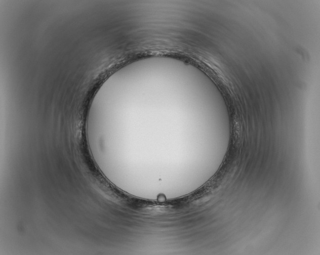 X0000112020499200908031044