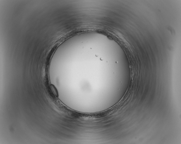 X0000112020500200908031044