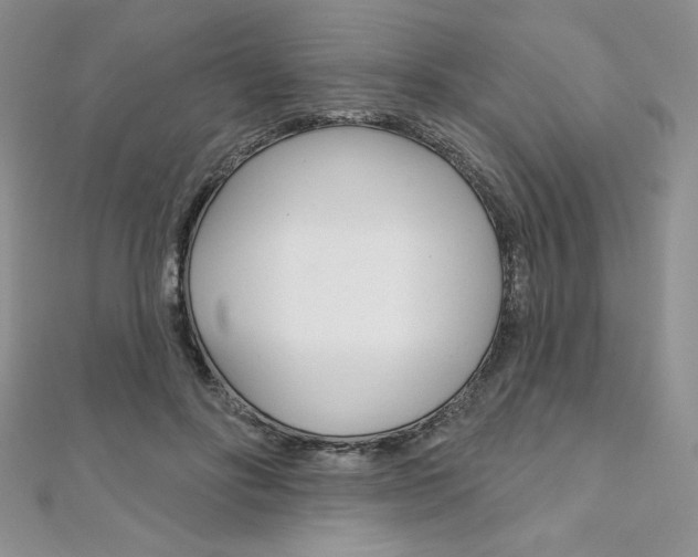 X0000112020502200908031044