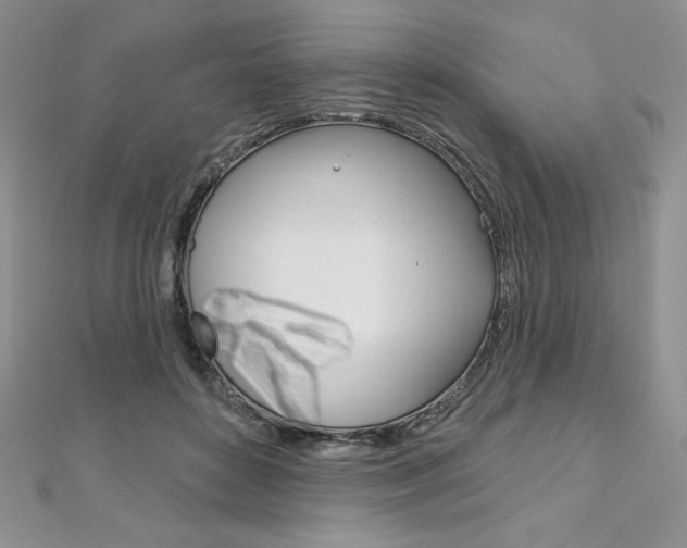 X0000112020504200908031044