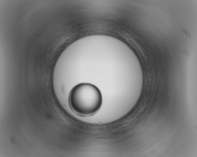 X0000112020505200908031044