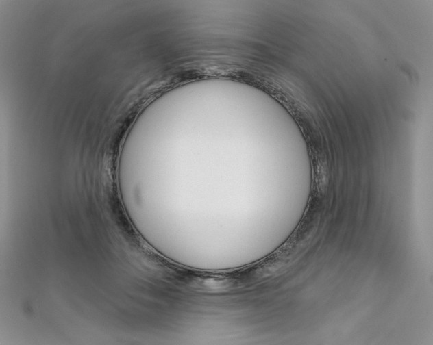 X0000112020506200908031044