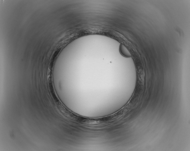 X0000112020507200908031044