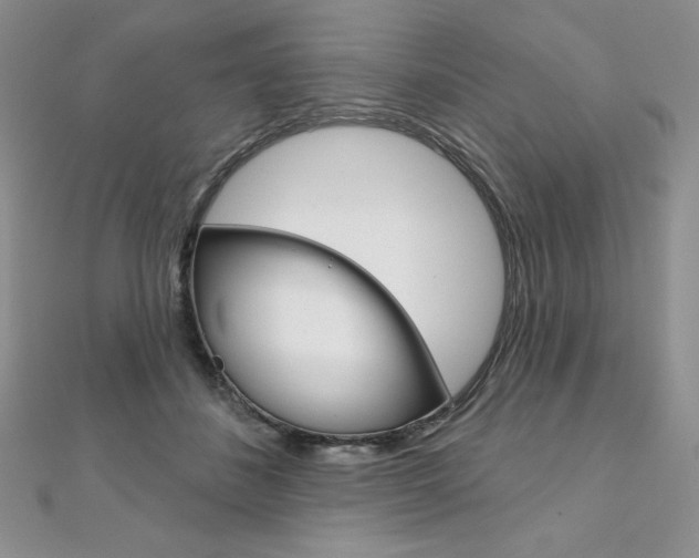 X0000112020508200908031044