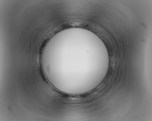 X0000112020510200908031044