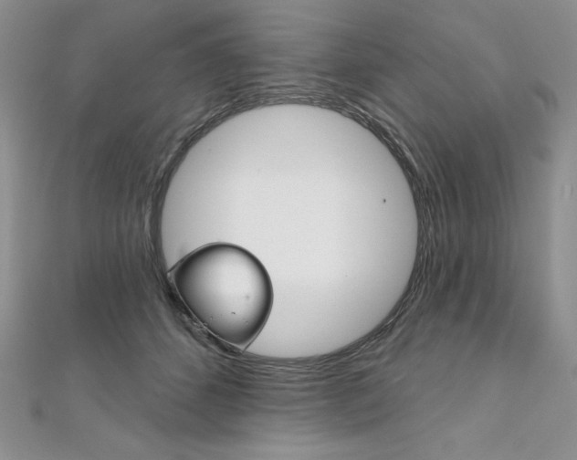 X0000112020512200908031044