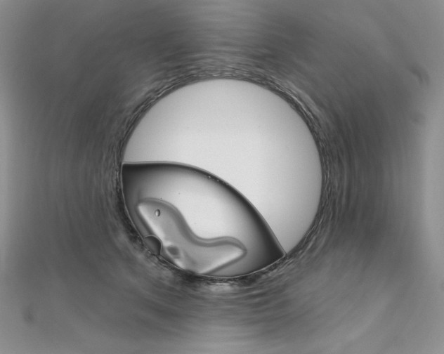 X0000112020513200908031044