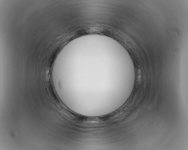 X0000112020514200908031044