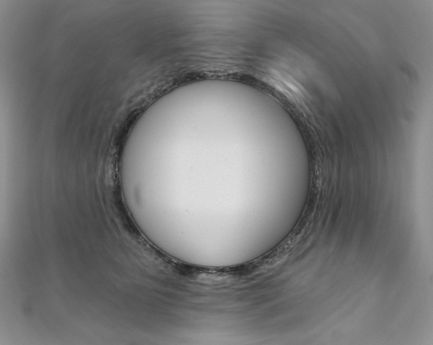 X0000112020515200908031044