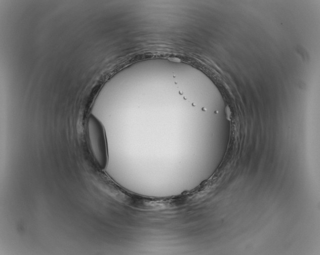 X0000112020516200908031044