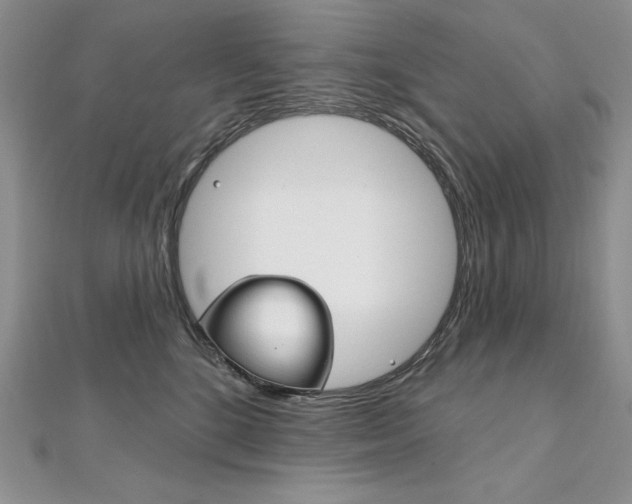 X0000112020520200908031044