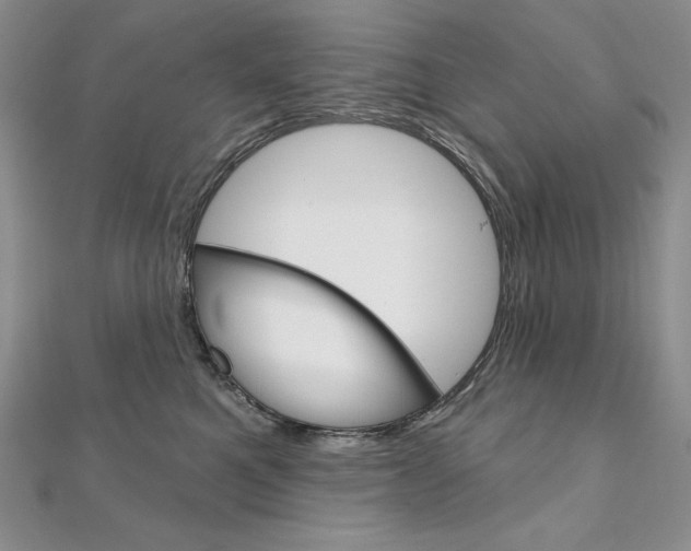 X0000112020521200908031044