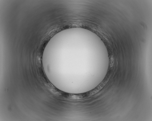 X0000112020522200908031044