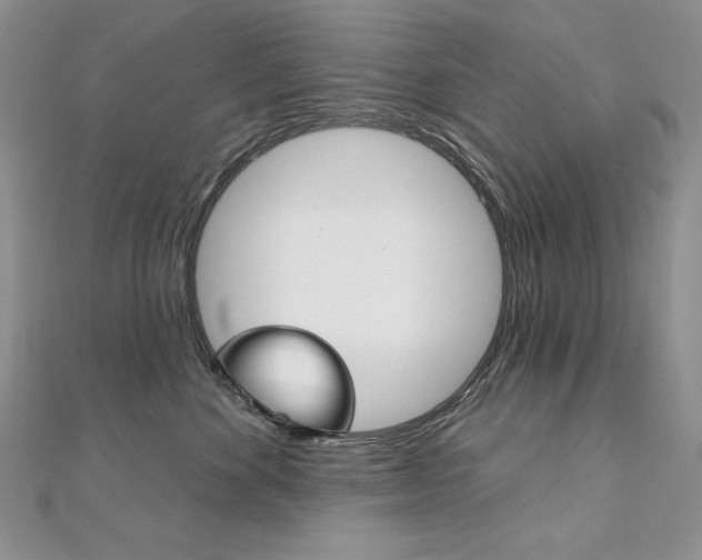 X0000112020524200908031044