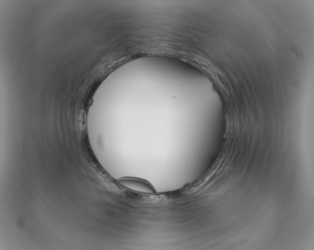 X0000112020525200908031044