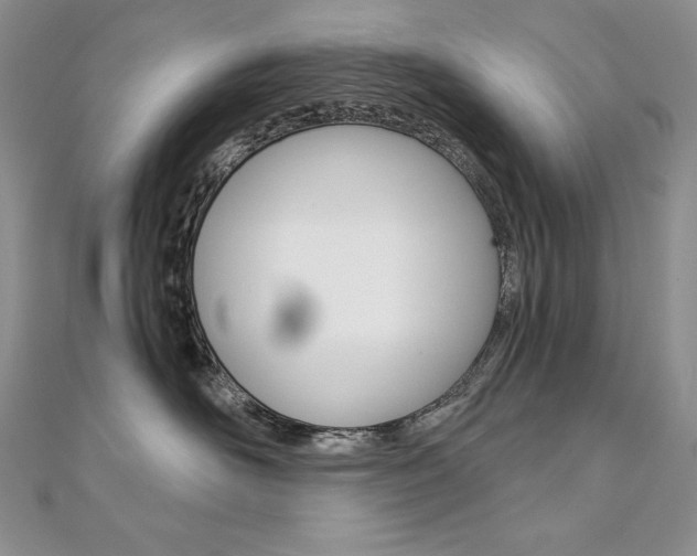 X0000112020526200908031044