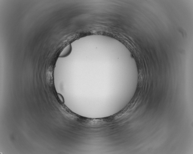 X0000112020527200908031044