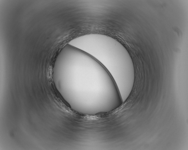X0000112020528200908031044
