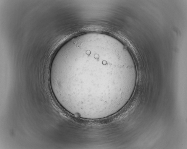 X0000112020529200908031043