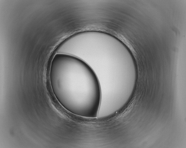 X0000112020530200908031043
