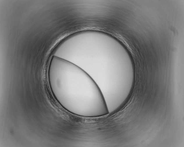 X0000112020531200908031043