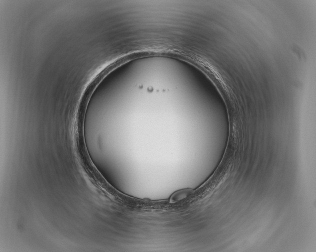 X0000112020532200908031043