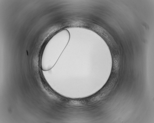 X0000112020534200908031043