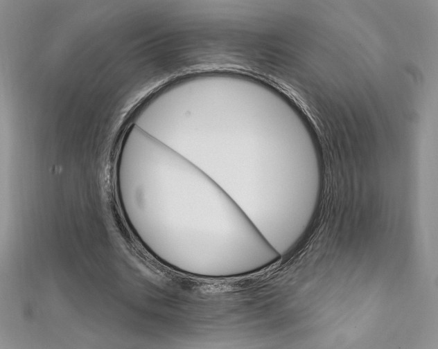 X0000112020535200908031043
