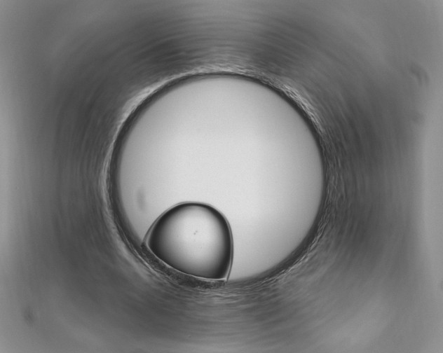 X0000112020536200908031043