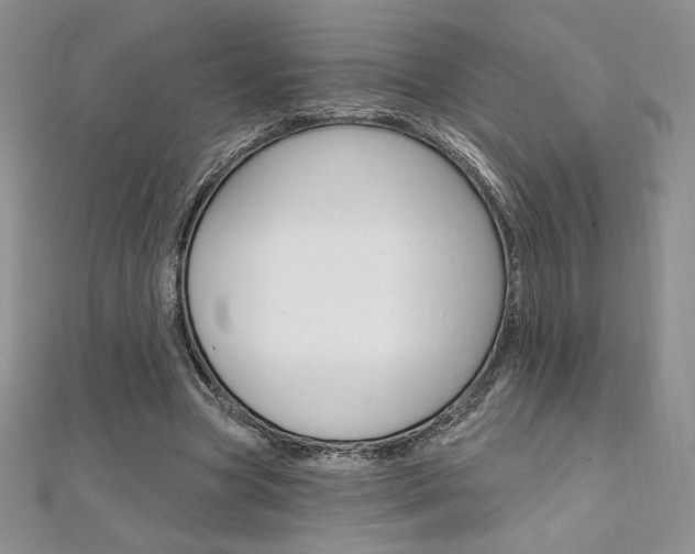 X0000112020537200908031043